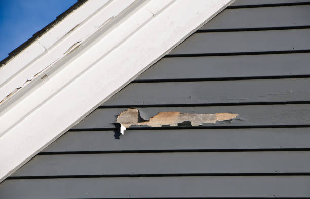 Best Wood Siding Installation  in Oaklyn, NJ