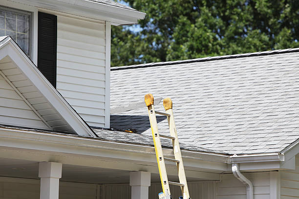 Best Siding Painting and Refinishing  in Oaklyn, NJ